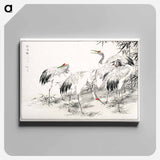 アートパネル-Japanese Crane and Bamboo Illustration
 - 鳥類図鑑 Canvas.