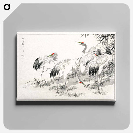 アートパネル-Japanese Crane and Bamboo Illustration
 - 鳥類図鑑 Canvas.