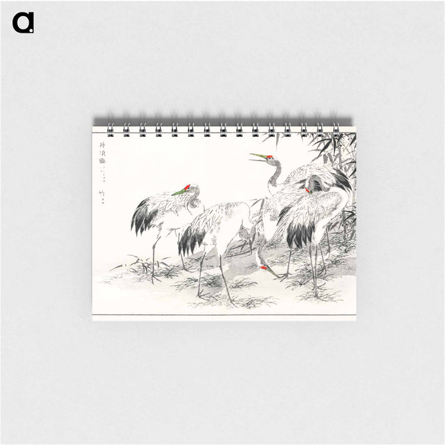 アートメモ帳-Japanese Crane and Bamboo Illustration
 - 鳥類図鑑 Memo.