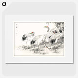 アートポスター-Japanese Crane and Bamboo Illustration
 - 鳥類図鑑 Poster.
