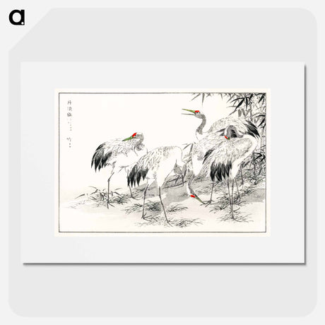 アートポスター-Japanese Crane and Bamboo Illustration
 - 鳥類図鑑 Poster.