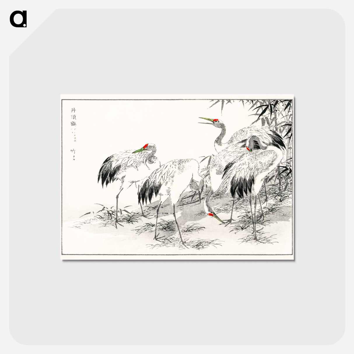 アートポストカード-Japanese Crane and Bamboo Illustration
 - 鳥類図鑑 Postcard.