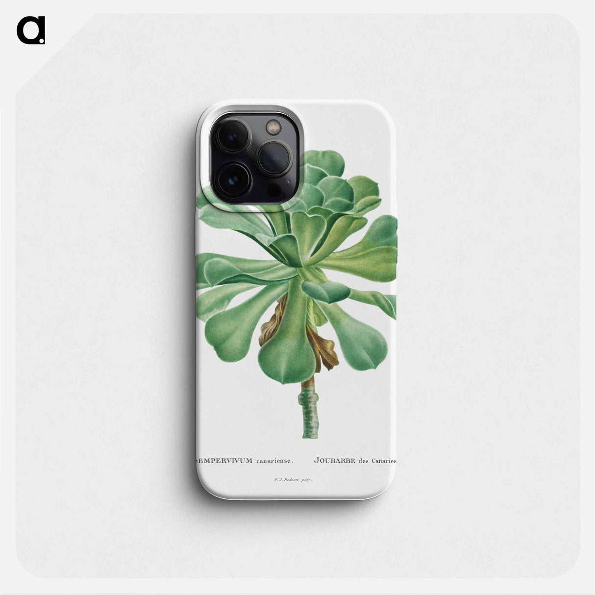 Sempervivum Canariense - Pierre Joseph Redouté Phone Case.