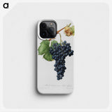 1-6_Pomona-Italiana_phone