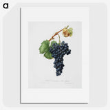 1-6_Pomona-Italiana_picture