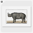 1-6_Robert-Jacob-Gordon_picture