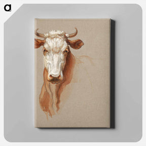 アートパネル-Two Studies of Cattle - サミュエル コールマン Canvas.