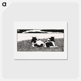 Cows
 - サミュエル ジェスルン Postcard.