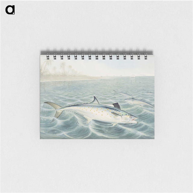 1-6_Samuel-Kilbourne_memo