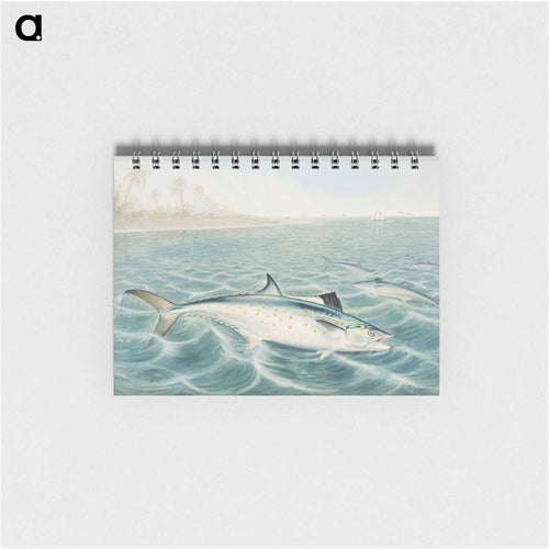 Red Drum
 - サミュエル キルボーン Memo.