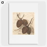 1-6_Sientje-Mesdag-van-Houten_picture