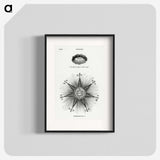 1-6_Solar-Biology_blk