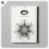 1-6_Solar-Biology_canvas