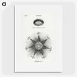 1-6_Solar-Biology_picture