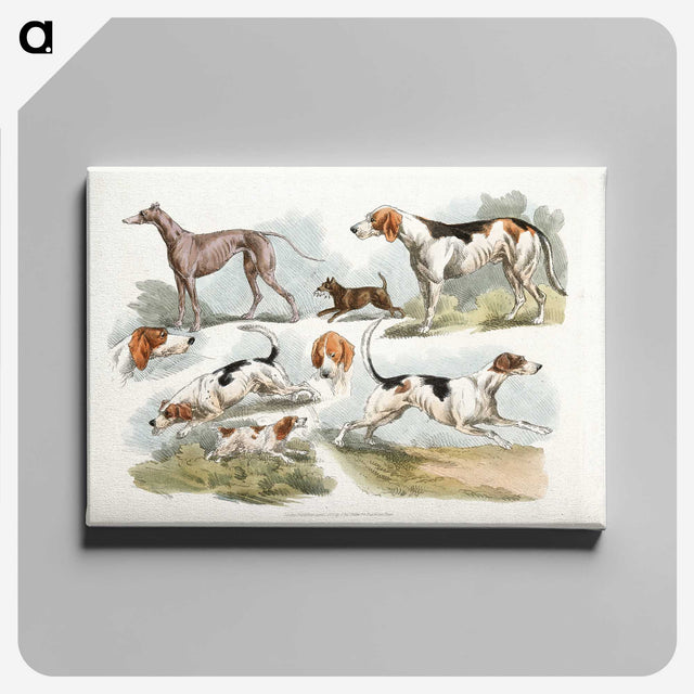 1-6_Sporting-Sketches_canvas