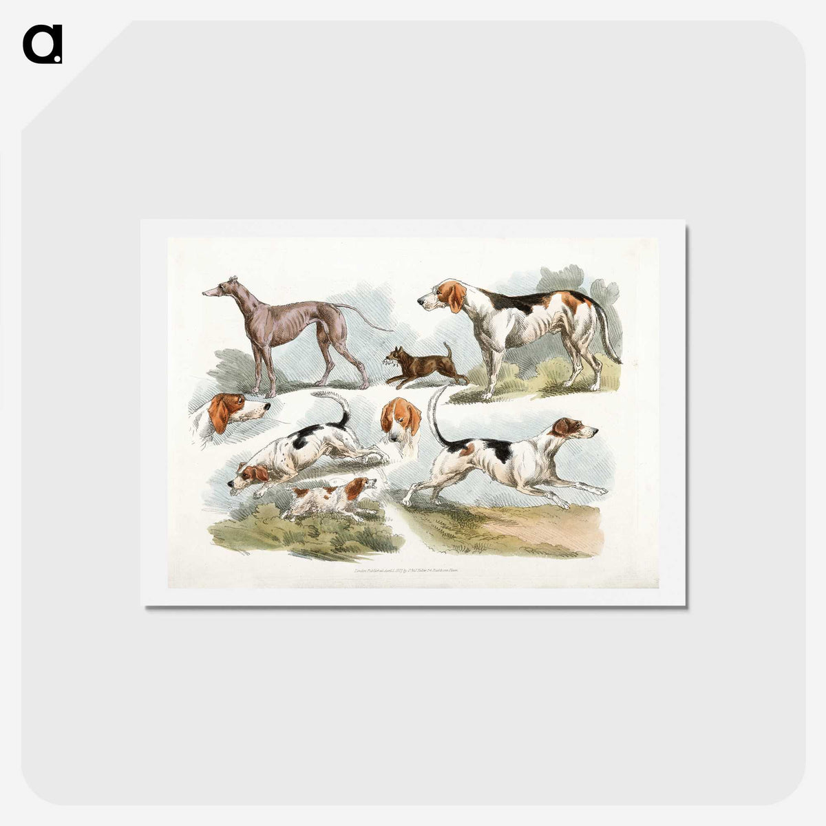 1-6_Sporting-Sketches_hagaki
