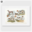 1-6_Sporting-Sketches_picture