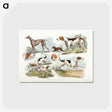1-6_Sporting-Sketches_postcard