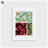 1-6_Suggestions-Pour-Etoffes-et-Tapis_hagaki