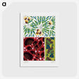 1-6_Suggestions-Pour-Etoffes-et-Tapis_postcard