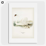 1-6_Svenska-Faglar_picture