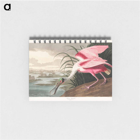 アートメモ帳-Roseate Spoonbill from Birds of America
 - アメリカの鳥たち Memo.