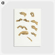 1-6_The-Daily-Prayers-of-the-Brahmins_postcard