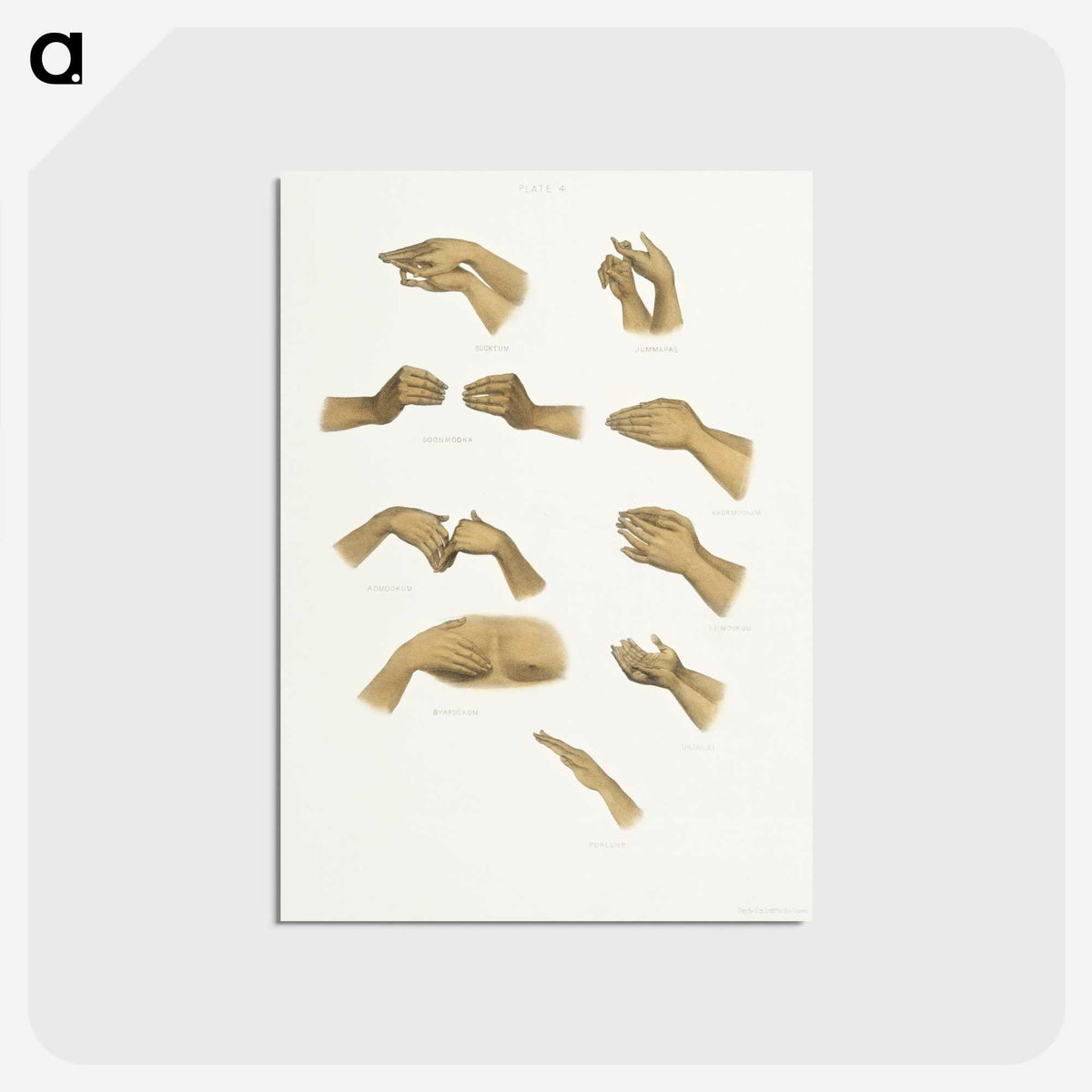1-6_The-Daily-Prayers-of-the-Brahmins_postcard