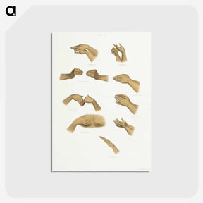 1-6_The-Daily-Prayers-of-the-Brahmins_postcard