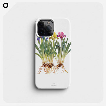 Iris Pumila from The genus Iris
 - アヤメ属 Phone Case.