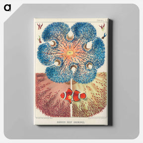 アートパネル-Barrier Reef Anemones - オーストラリアのグレートバリアリーフ Canvas.