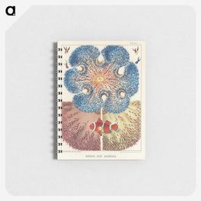 1-6_The-Great-Barrier-Reef-of-Australia_memo