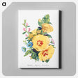 アートパネル-Hollyhock, Hepatica and Rest Harrow
 - 花言葉 Canvas.