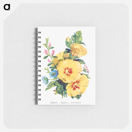 アートメモ帳-Hollyhock, Hepatica and Rest Harrow
 - 花言葉 Memo.