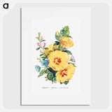 アートポスター-Hollyhock, Hepatica and Rest Harrow
 - 花言葉 Poster.