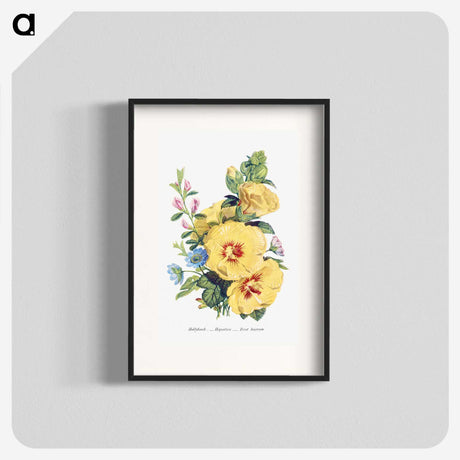 1-6_The-Language-of-Flowers_blk