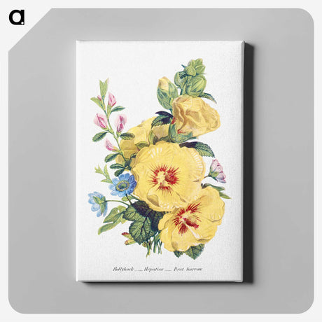 1-6_The-Language-of-Flowers_canvas