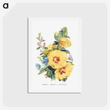 1-6_The-Language-of-Flowers_hagaki