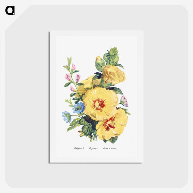 1-6_The-Language-of-Flowers_hagaki