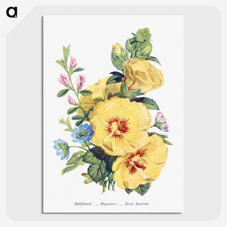 1-6_The-Language-of-Flowers_picture-crop