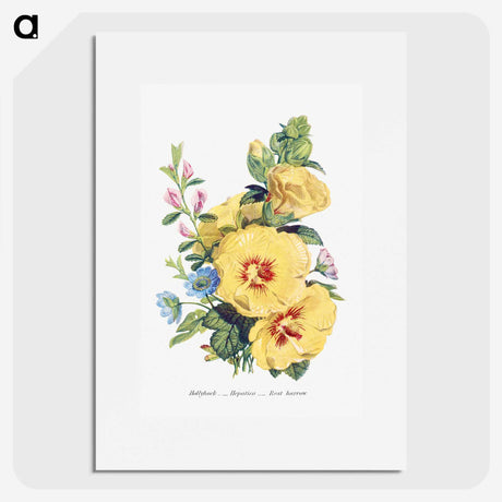 1-6_The-Language-of-Flowers_picture