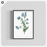 1-6_The-Lilies_blk-crop