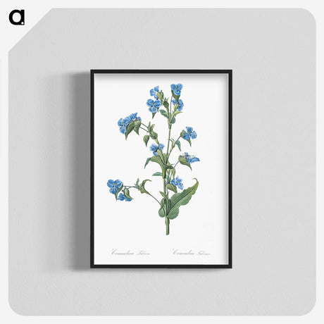 1-6_The-Lilies_blk-crop