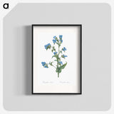 1-6_The-Lilies_blk