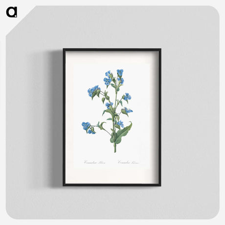 1-6_The-Lilies_blk