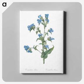 1-6_The-Lilies_canvas