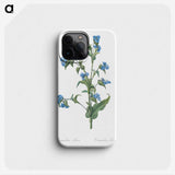 1-6_The-Lilies_phone
