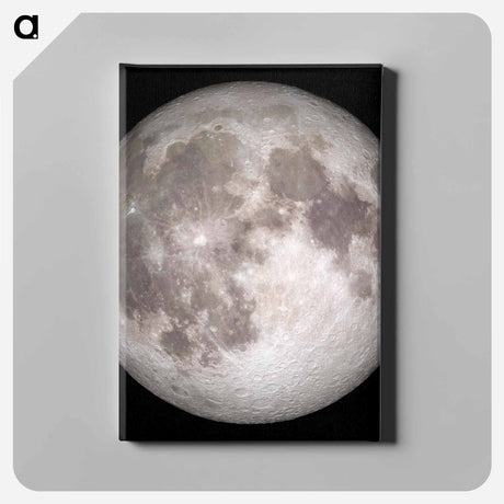 アートパネル-Full Moon
 - ムーン Canvas.