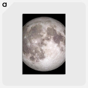 アートポストカード-Full Moon
 - ムーン Postcard.