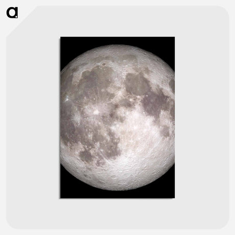 アートポストカード-Full Moon
 - ムーン Postcard.